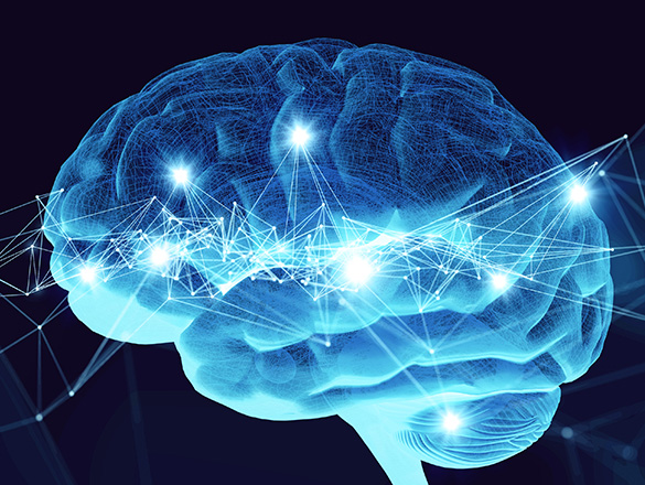 Brain graphic with lines and points of light signifying a part of the nervous system