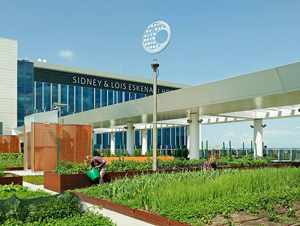 Sky-Farm-with-Signage